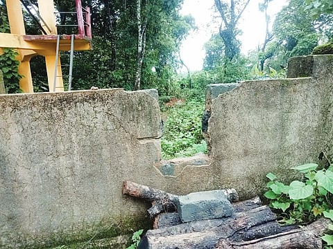 ylp compound