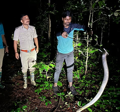 ylp kalinga