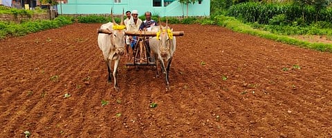 Rmgm-Ph-01-Fokash Story - Raitha - Ragi -Bittane-Photo-29-7-2025