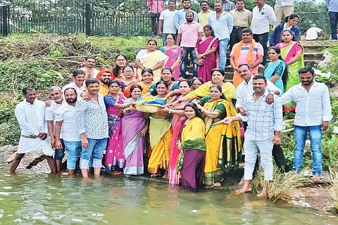 kdr 2 (3)