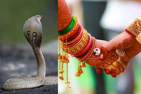 ವಿಜಯವಾಣಿ (97)