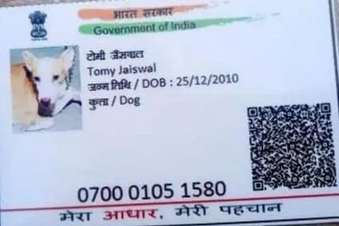 Dog Aadhaar Card