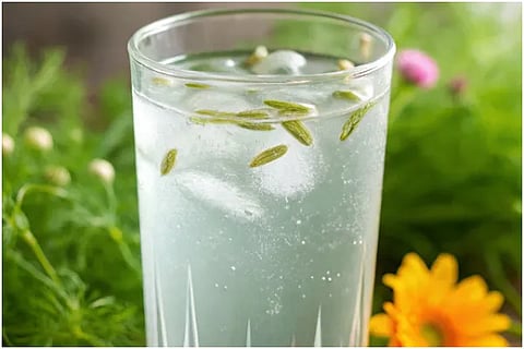 Fennel Seed Water