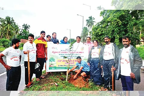 kota