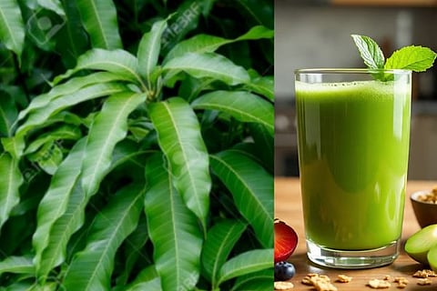 mango leaf juice