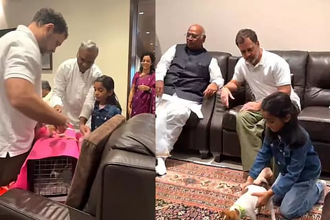 Rahul Gandhi