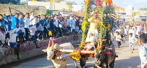 ಹರಪನಹಳ್ಳಿ ತಾಲೂಕಿನ ಅರಸೀಕೆರೆಯಲ್ಲಿ ಎತ್ತುಗಳ ಬಂಡಿ ಓಡಿಸಲಾಯಿತು.