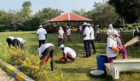Public park cleaning program