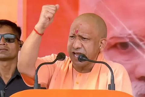 yogi