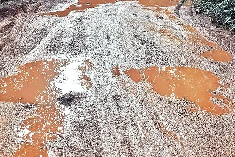 blm (5)