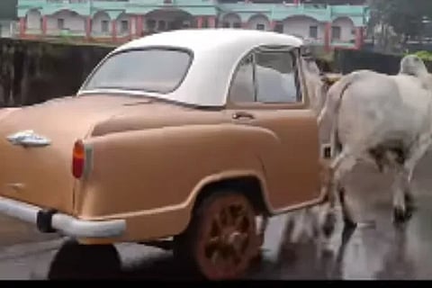 cart video