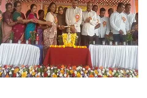 mdg mla
