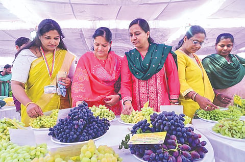 ಮೇಳದಲ್ಲಿ ಬಗೆ ಬಗೆಯ ದ್ರಾಕ್ಷಿ ವಿಕ್ಷೀಸಿದ ಮಹಿಳೆಯರು.