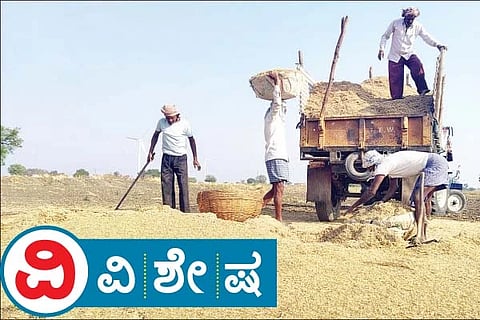 ಕುಕನೂರು ತಾಲೂಕಿನ ಯರೇಹಂಚಿನಾಳ ಗ್ರಾಮದ ಜಮೀನೊಂದರಲ್ಲಿ ಕಡಲೆ ಹೊಟ್ಟು ಮಾರಾಟಕ್ಕೆ ಟ್ರಾೃಕ್ಟರ್ನಲ್ಲಿ ತುಂಬುತ್ತಿರುವುದು.