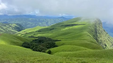 ಕುದುರೆಮುಖ ರಾಷ್ಟ್ರೀಯ ಉದ್ಯಾನವನ