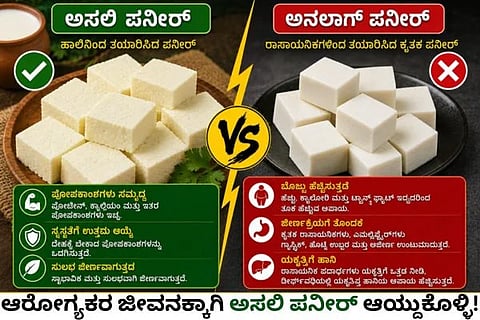 ಅಸಲಿ ಮತ್ತು ಅನಲಾಗ್ ಪನೀರ್