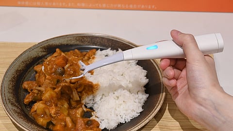 इलेक्ट्रिक नमक चम्मच | इलेक्ट्रिक नमक चम्मच