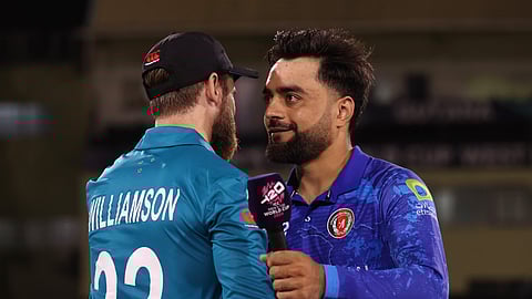 राशिद खान