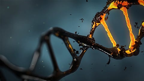 పరిశోధన: నేరస్థుల శ్వాస నుండి DNA సేకరించవచ్చు!