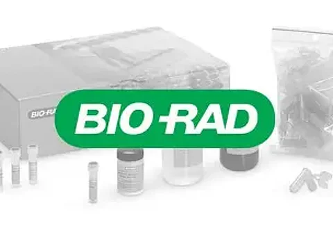 Bio-Rad Appoints Rajat Mehta as Executive Vice President of Global Commercial Operations