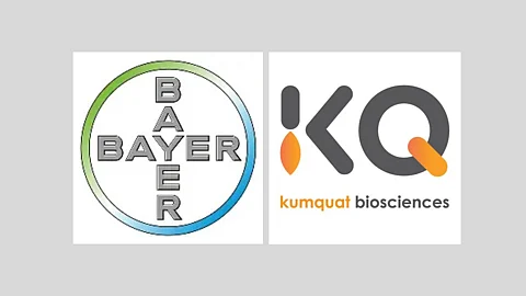 Bayer and Kumquat Join Forces to Advance KRAS G12D Cancer Therapy