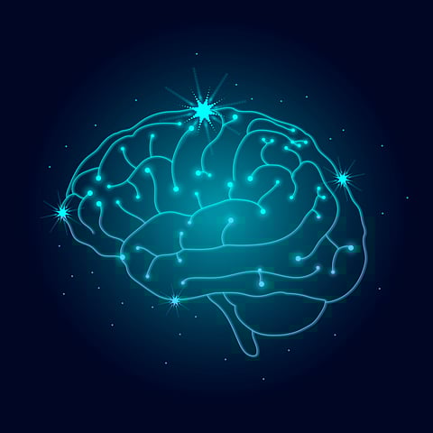 Fresh Amoebic Meningoencephalitis Case in Kozhikode Triggers High Alert