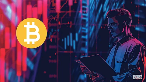 Crypto, Voice Of Crypto