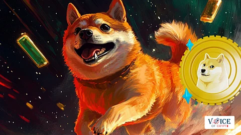 Dogecoin, Voice of Crypto