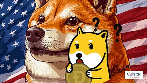 Crypto, Voice of Crypto, Dogecoin
