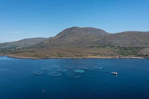 Aerial view of an Atlantic salmon farm in Bantry Bay, in County Cork, western Ireland.