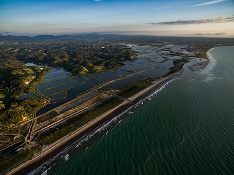 Shrimp farms in Manabí, Ecuador. This province is one of the areas at imminent risk from the El Niño phenomenon.