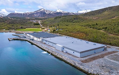 SalMar reports 30,000 fish mortalities at smolt facility