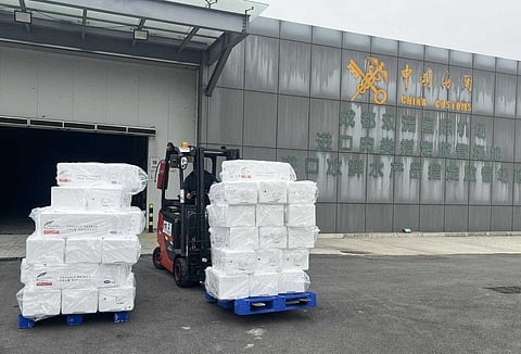 Fresh Chilean coho salmon arriving at China's customs after being accredited and certified by Sernapesca.