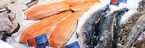 Antitrust scandal costs Norwegian salmon firms billions on stock market