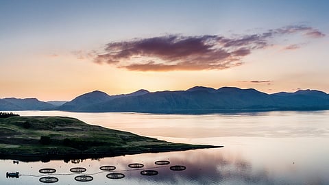 Outlook of funding boost for aquaculture research