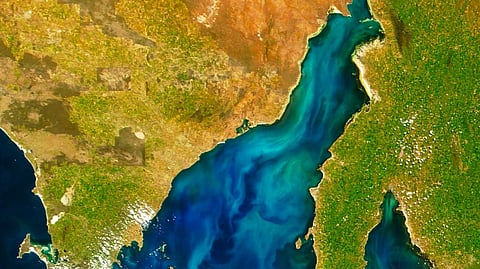 Satellite image of an algal bloom in the Spencer Gulf in Southern Australia.