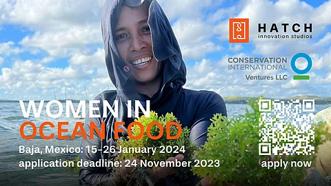 Women In Ocean Food 2024