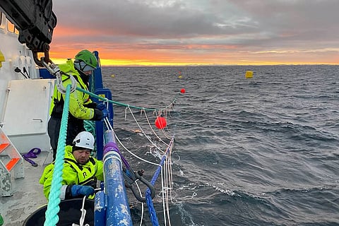 Operators deploy kelp lines at JIP Seaweed Carbon Solutions offshore test site in Norway.