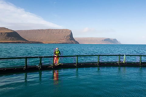 "Since the escape occurred in August, we at Arctic Fish have put a lot of work into reviewing our working methods with the aim of minimizing the risk of an escape," the company said.