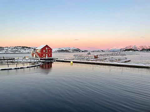 Winter view of Torghatten Aqua's aquaculture facilities in Toft, Brønnøy, on the Helgeland coast. Contributing to the sustainable growth and development of the aquaculture sector in the area is one of the objectives of Nova Sea's entry into Torghatten Aqua's shareholding.