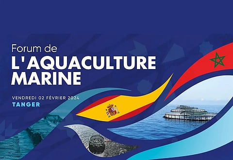 Morocco and Spain join forces for a sustainable aquaculture industry