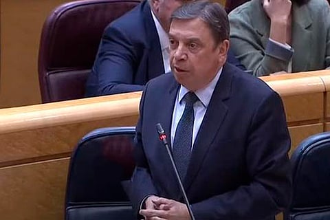 The Minister of Agriculture, Fisheries and Food, Luis Planas, during his speech