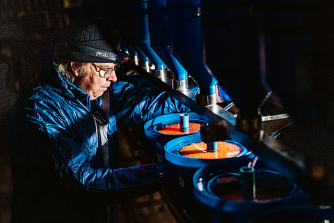 Scottish Sea Farms delivers successfully  its first batch of 'green' eggs