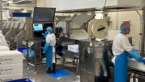 The Kingfish Company's new in-house packing and processing plant is directly connected to the fish farm therefore yellowtail kingfish is now harvested straight to the new facility and packed into boxes for shipment.
