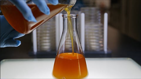 Veramaris algal oil is produced in Nebrasksa, USA.