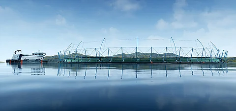 Blue Endeavour open farm could generate NZD 300 million in new revenue per annum.