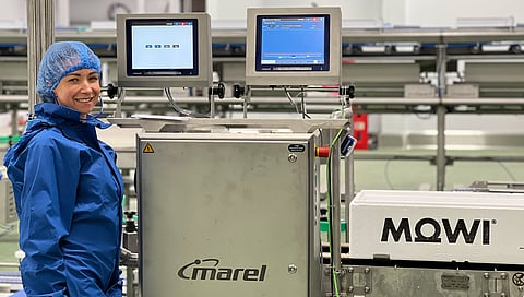 Installation of Marel equipment at Mow'is Fort William salmon processing facility.