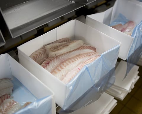 Norway to experience "opportunities and challenges" after USA's ban on Russian cod, analyst says