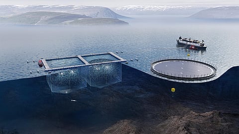 AKVA group to electrify the Chilean aquaculture industry