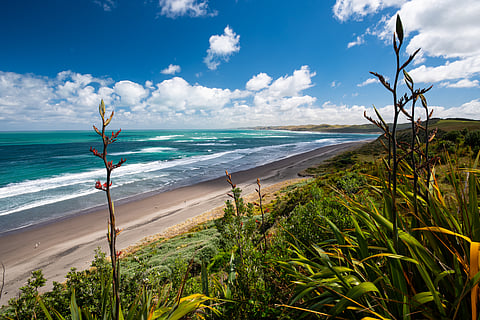 Ngarunui beach in Raglan, Waikato, New Zealand